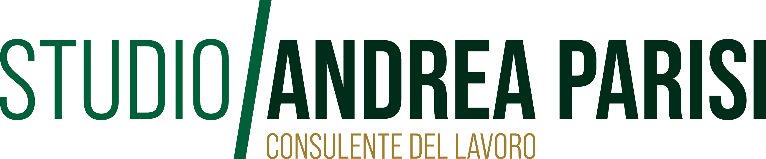 Studio Andrea Parisi